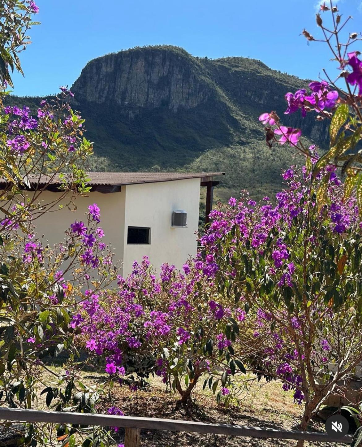 Pousada Rancho Dos Ipes Alto Paraíso de Goiás Exteriér fotografie