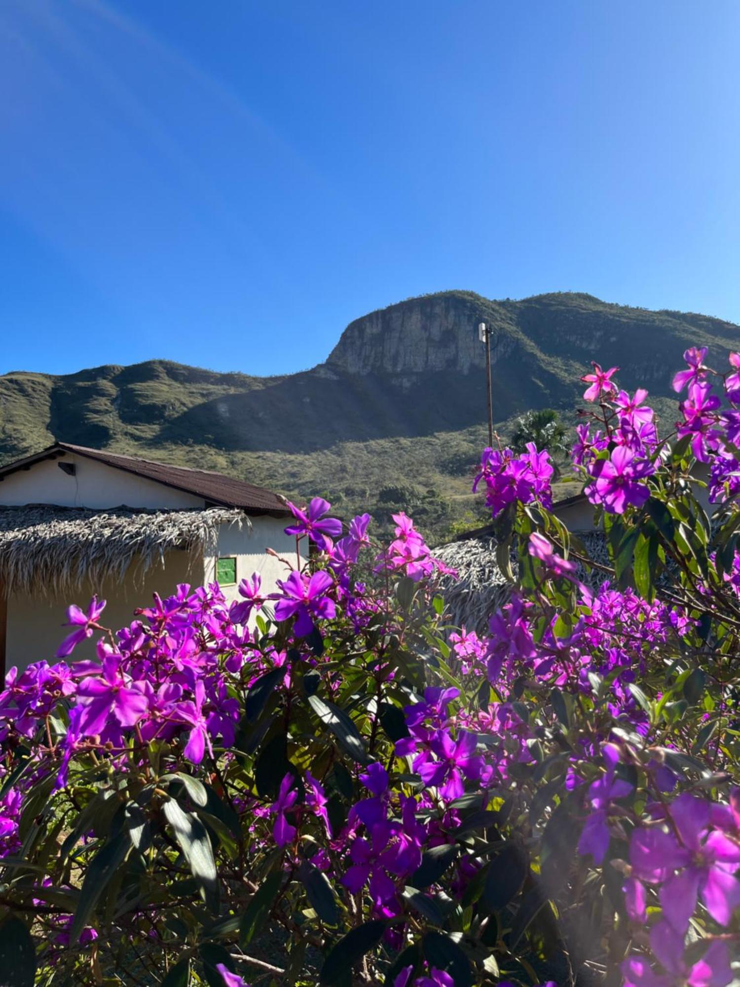 Pousada Rancho Dos Ipes Alto Paraíso de Goiás Pokoj fotografie