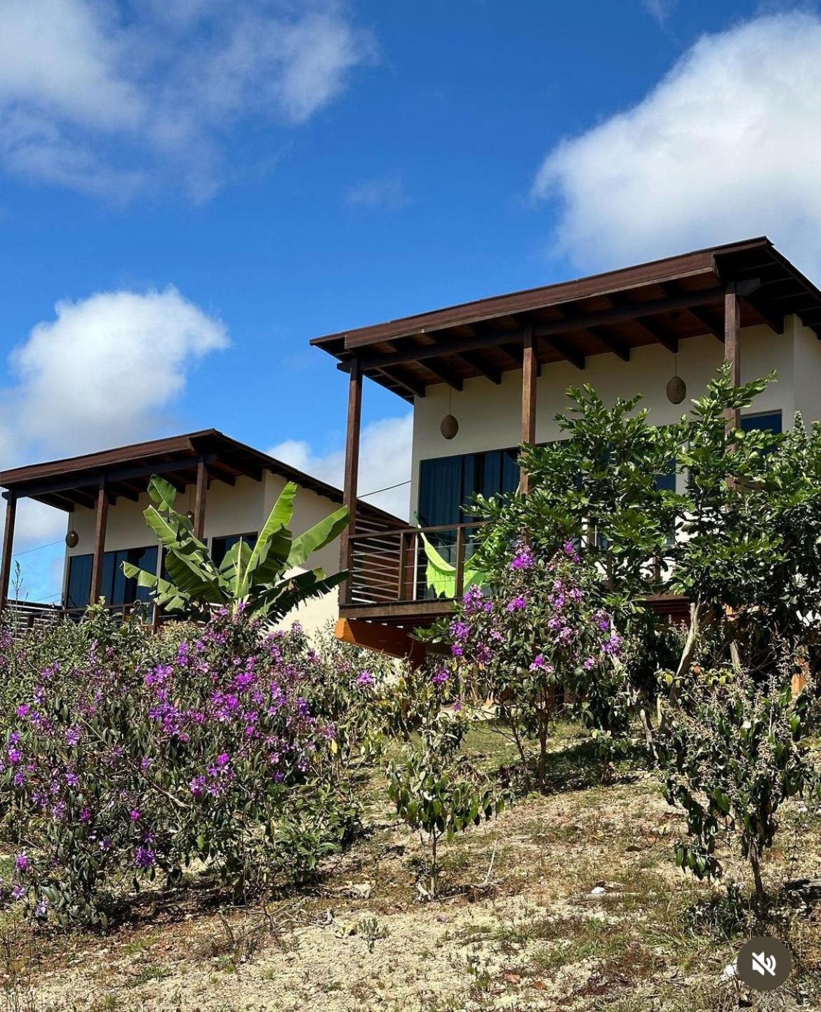 Pousada Rancho Dos Ipes Alto Paraíso de Goiás Exteriér fotografie